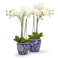 Blue and White Planter - Small