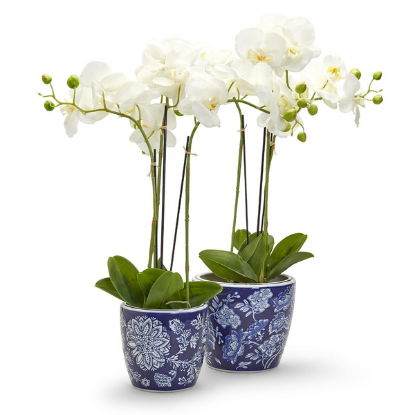 Blue and White Planter - Small
