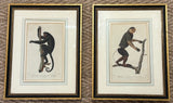 Pair Handcolored Monkey Prints Antique