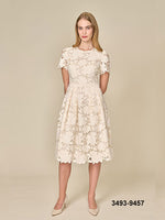 Lace Dress - Blush
