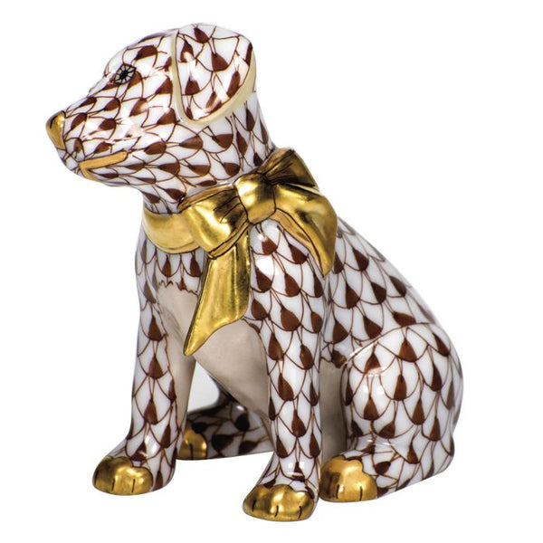 Doggie Dazzle - Chocolate
