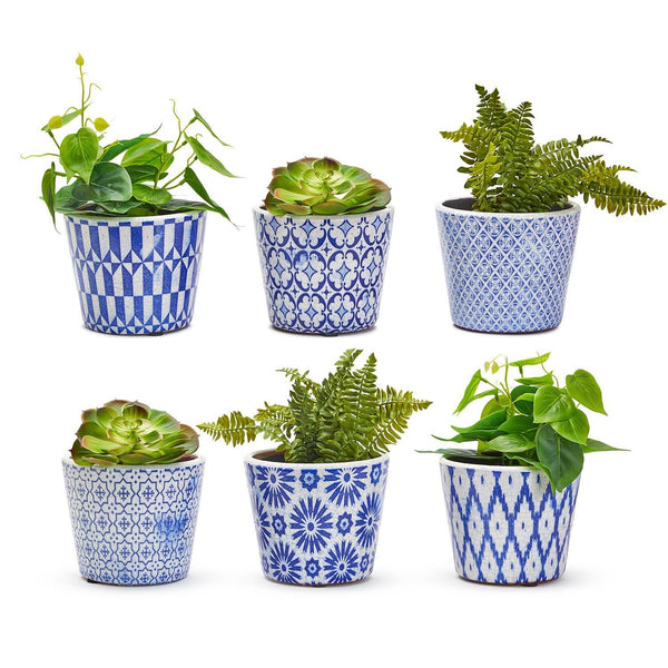 blue terracotta plant pots Terracotta Pots