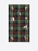 Scarf - Tartan