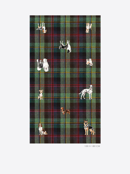 Scarf - Tartan