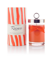 Vesuve Candle 230g